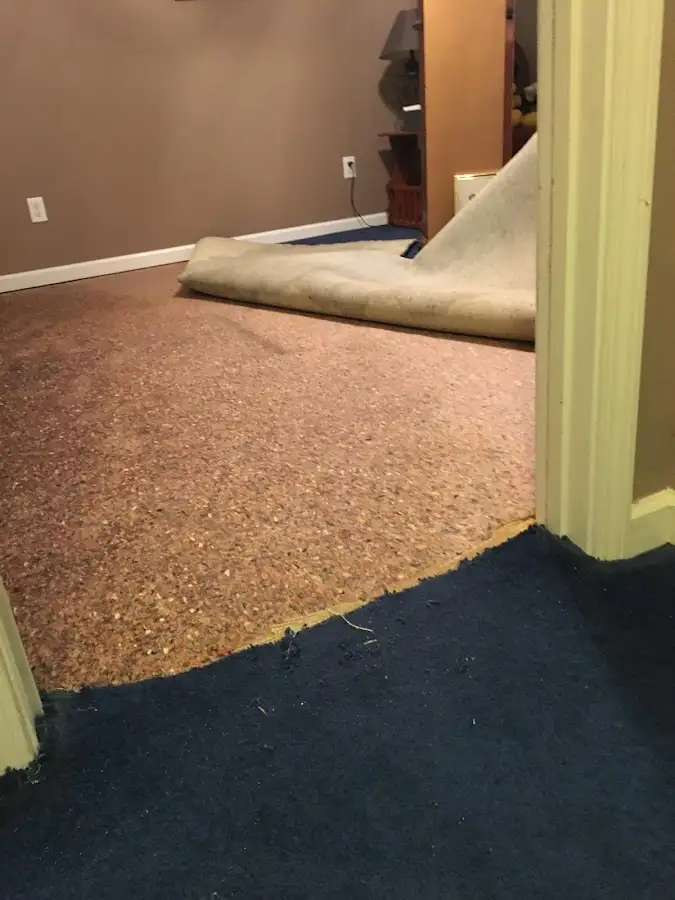 Carpet pad removal revealing water damage during Drying & Dehumidification in East Renton Highlands